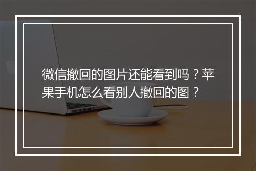 微信撤回的图片还能看到吗？苹果手机怎么看别人撤回的图？