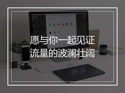 愿与你一起见证流量的波澜壮阔