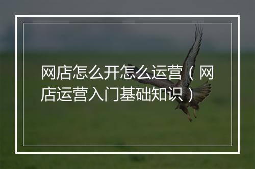 网店怎么开怎么运营（网店运营入门基础知识）