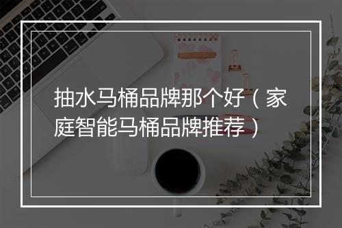 抽水马桶品牌那个好（家庭智能马桶品牌推荐）