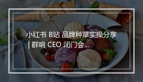 小红书 B站 品牌种草实操分享 | 群响 CEO 闭门会 32