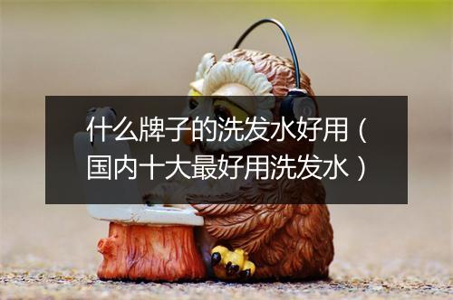 什么牌子的洗发水好用（国内十大最好用洗发水）