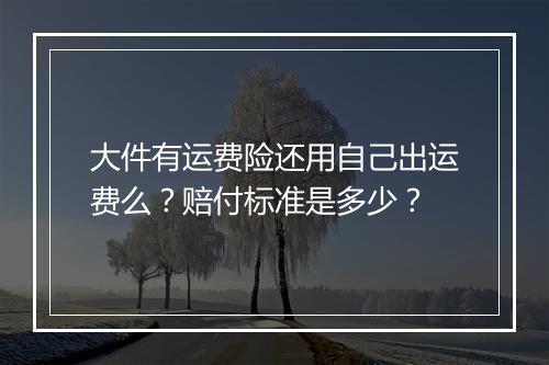 大件有运费险还用自己出运费么？赔付标准是多少？