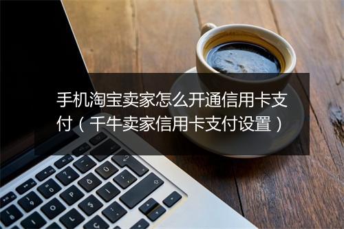手机淘宝卖家怎么开通信用卡支付（千牛卖家信用卡支付设置）