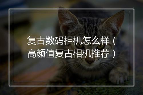 复古数码相机怎么样（高颜值复古相机推荐）