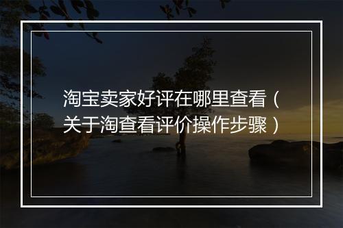 淘宝卖家好评在哪里查看（关于淘查看评价操作步骤）