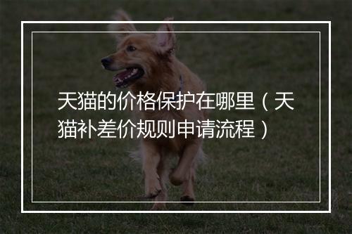 天猫的价格保护在哪里（天猫补差价规则申请流程）