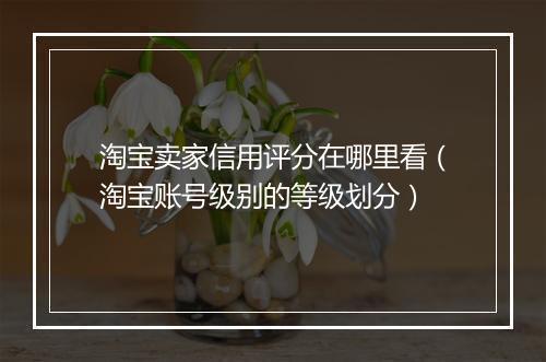 淘宝卖家信用评分在哪里看（淘宝账号级别的等级划分）