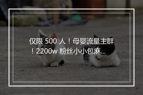 仅限 500 人！母婴流量主群！2200w 粉丝小小包麻麻、天猫带货榜母婴 Top 彦祖传媒，蜜芽、妈妈帮｜群响快闪对接 05