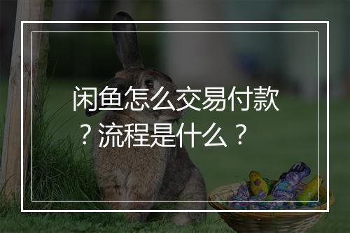 闲鱼怎么交易付款？流程是什么？