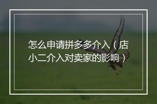 怎么申请拼多多介入（店小二介入对卖家的影响）