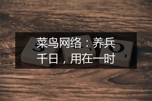 菜鸟网络：养兵千日，用在一时