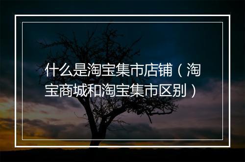 什么是淘宝集市店铺（淘宝商城和淘宝集市区别）