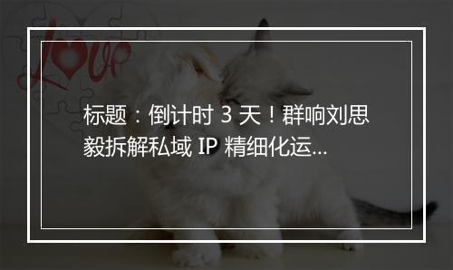 标题：倒计时 3 天！群响刘思毅拆解私域 IP 精细化运营