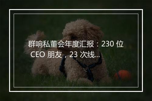 群响私董会年度汇报：230 位 CEO 朋友，23 次线下小局