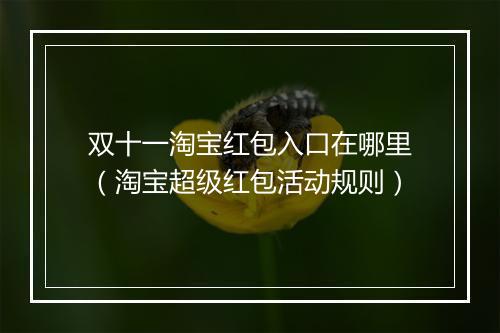 双十一淘宝红包入口在哪里（淘宝超级红包活动规则）