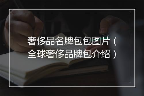 奢侈品名牌包包图片（全球奢侈品牌包介绍）