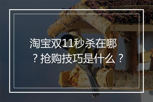淘宝双11秒杀在哪？抢购技巧是什么？