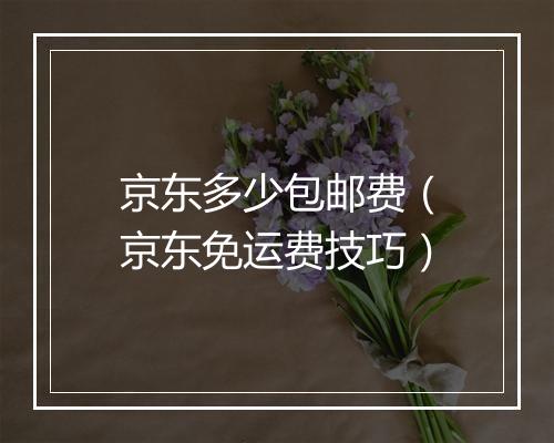 京东多少包邮费（京东免运费技巧）