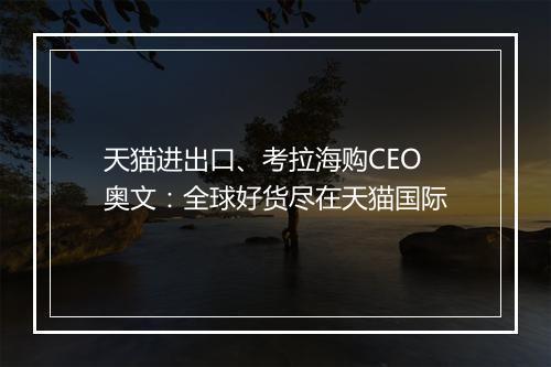 天猫进出口、考拉海购CEO奥文：全球好货尽在天猫国际