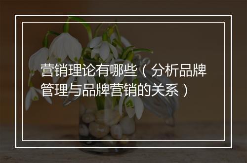 营销理论有哪些（分析品牌管理与品牌营销的关系）