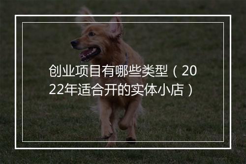 创业项目有哪些类型（2022年适合开的实体小店）