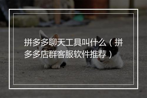 拼多多聊天工具叫什么（拼多多店群客服软件推荐）