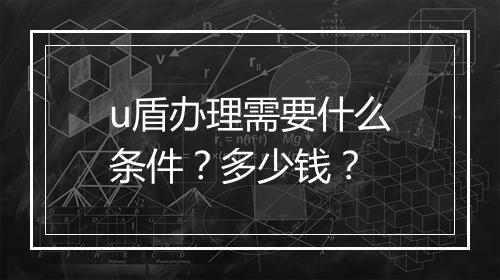 u盾办理需要什么条件？多少钱？