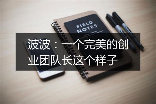 波波：一个完美的创业团队长这个样子