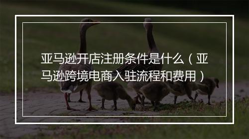 亚马逊开店注册条件是什么（亚马逊跨境电商入驻流程和费用）