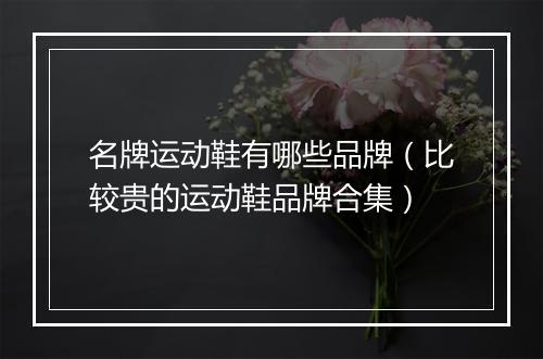 名牌运动鞋有哪些品牌（比较贵的运动鞋品牌合集）