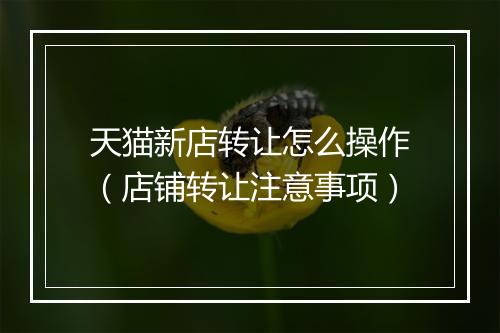 天猫新店转让怎么操作（店铺转让注意事项）