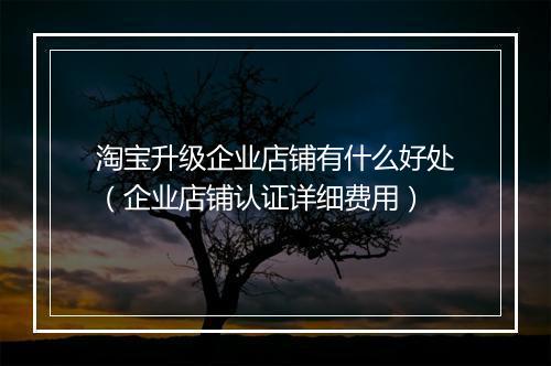 淘宝升级企业店铺有什么好处（企业店铺认证详细费用）