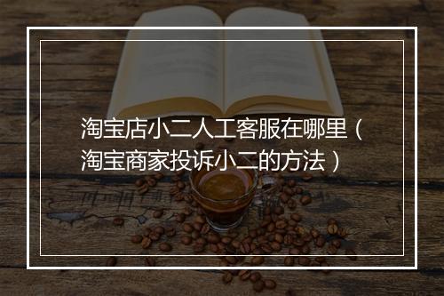 淘宝店小二人工客服在哪里（淘宝商家投诉小二的方法）