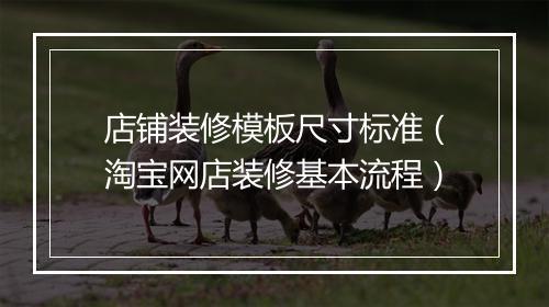 店铺装修模板尺寸标准（淘宝网店装修基本流程）