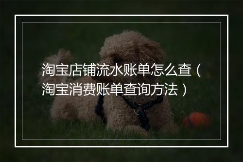 淘宝店铺流水账单怎么查（淘宝消费账单查询方法）