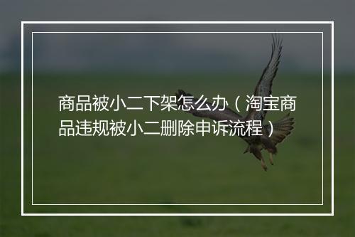 商品被小二下架怎么办（淘宝商品违规被小二删除申诉流程）