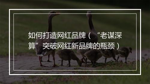 如何打造网红品牌（“老谋深算”突破网红新品牌的瓶颈）