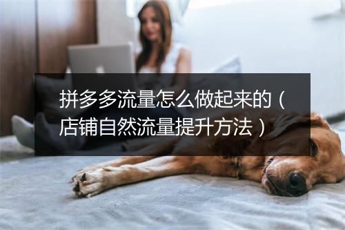 拼多多流量怎么做起来的（店铺自然流量提升方法）