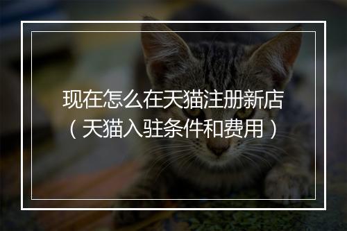 现在怎么在天猫注册新店（天猫入驻条件和费用）