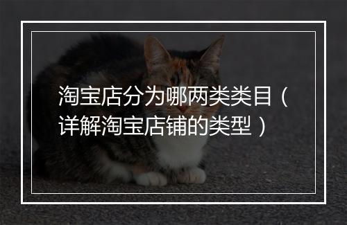 淘宝店分为哪两类类目（详解淘宝店铺的类型）