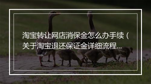 淘宝转让网店消保金怎么办手续（关于淘宝退还保证金详细流程）