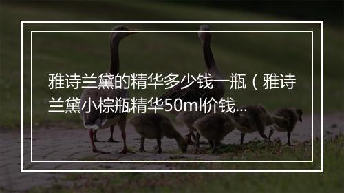 雅诗兰黛的精华多少钱一瓶（雅诗兰黛小棕瓶精华50ml价钱）
