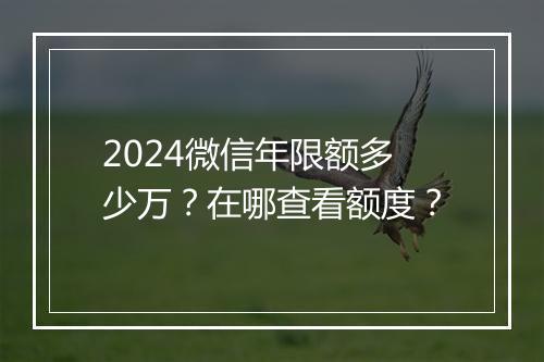 2024微信年限额多少万？在哪查看额度？