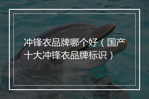 冲锋衣品牌哪个好（国产十大冲锋衣品牌标识）