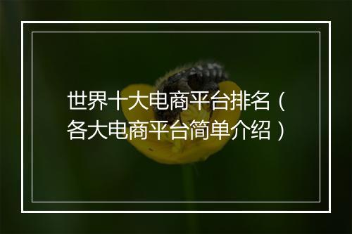 世界十大电商平台排名（各大电商平台简单介绍）