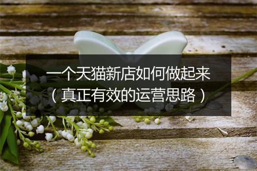 一个天猫新店如何做起来（真正有效的运营思路）