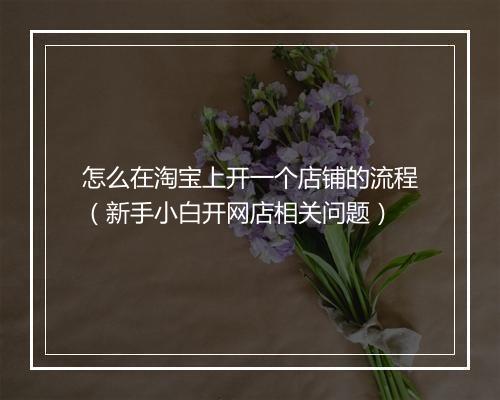 怎么在淘宝上开一个店铺的流程（新手小白开网店相关问题）