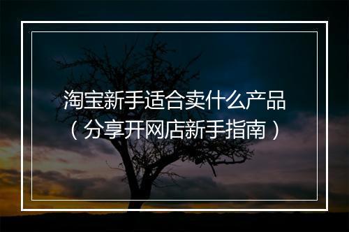 淘宝新手适合卖什么产品（分享开网店新手指南）