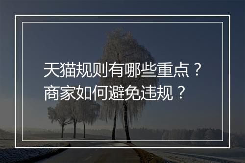 天猫规则有哪些重点？商家如何避免违规？